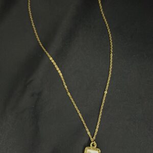 Butterfly  Box Stainless Steel Pendent