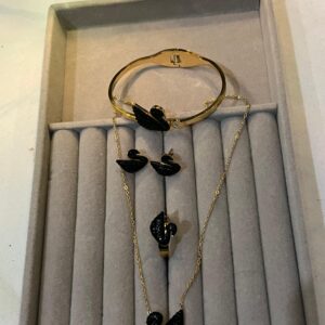 Swan Combo Statinless Steel set| Waterproof| Premium Quality